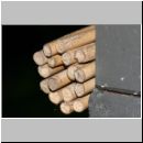 z Osmia bicornis - Rote Mauerbiene Nestverschluss 2007-05.jpg